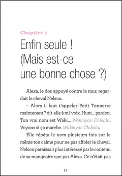Le secret des Kinra - Un amoureux secret - Tome 2