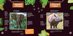 Mon grand Imagier des animaux UNE SAISON AU ZOO