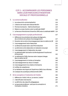 Titre professionnel Conseiller en insertion professionnelle
