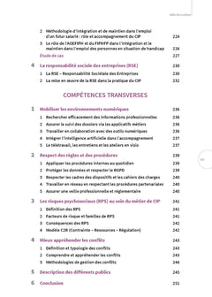 Titre professionnel Conseiller en insertion professionnelle