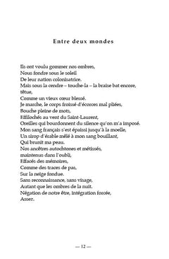 Cendres de givre nordique