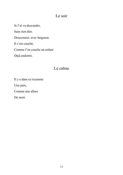 Moi, j'écris toutes ces images qui brûlent dans ma tête