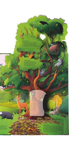 Les arbres