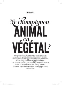 Les Petits Cahiers 180° - Champignons