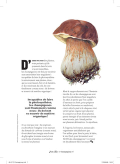 Les Petits Cahiers 180° - Champignons