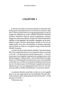 Les lauzes éclatées