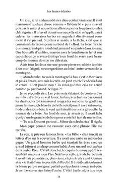 Les lauzes éclatées