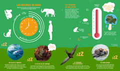 Les rois de la sieste, animaux trop fainéants - Waoupédia 6-10 ans