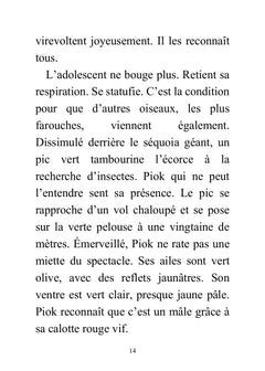 Piok, le pickpocket sourd qui rêve d'entendre le chant des oiseaux !