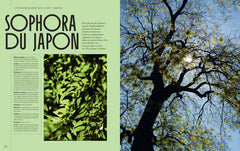 Les trésors du jardin
