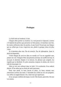 La Sentinelle invisible