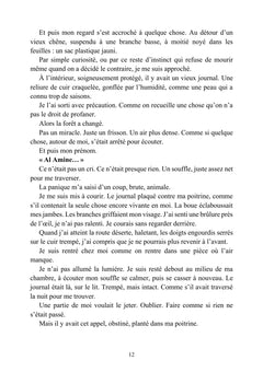 La Sentinelle invisible