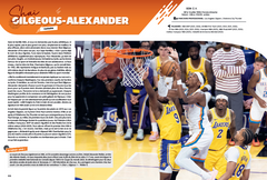 Les Étoiles du basket