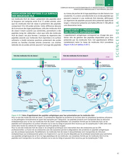 Hématologie-Immunologie et Biothérapie 2026-2027
