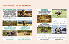 Afrique du Sud Guide Simplissime