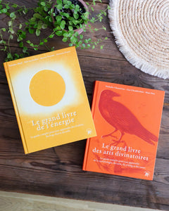 Le grand livre des arts divinatoires