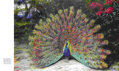 Les Oiseaux dans la peinture