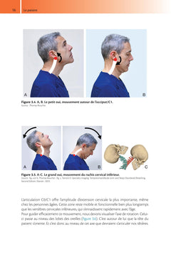 Ergonomie et performance au cabinet dentaire