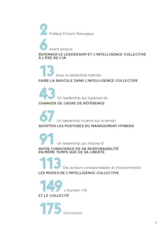 Le Management Hybride - 2e éd.