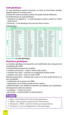 Flashcards IFSI.  UE B1