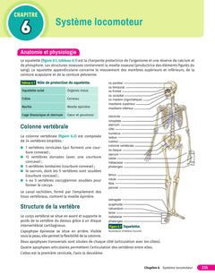 Toute l'année 1 du D.E.I. Le cahier de l'étudiant infirmier