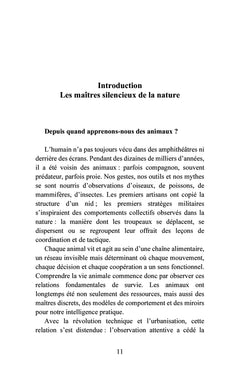 Les maîtres silencieux