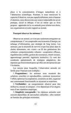 Les maîtres silencieux