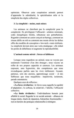 Les maîtres silencieux