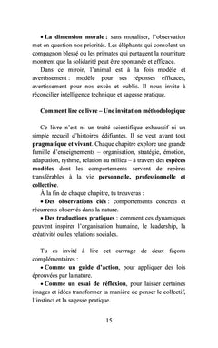 Les maîtres silencieux