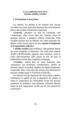 Les maîtres silencieux