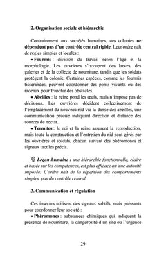 Les maîtres silencieux