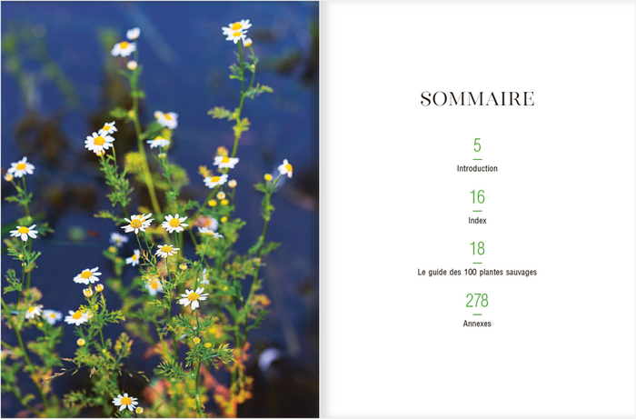 Le guide des plantes sauvages