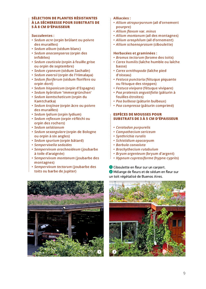 Végétaliser son toit