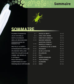 Les insectes - Tout comprendre