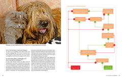 Adopter un chien en refuge