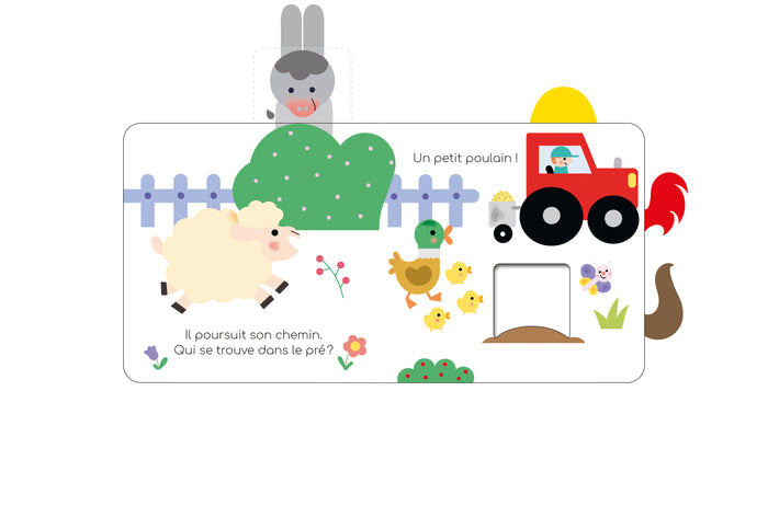 Coucou-caché petit mouton