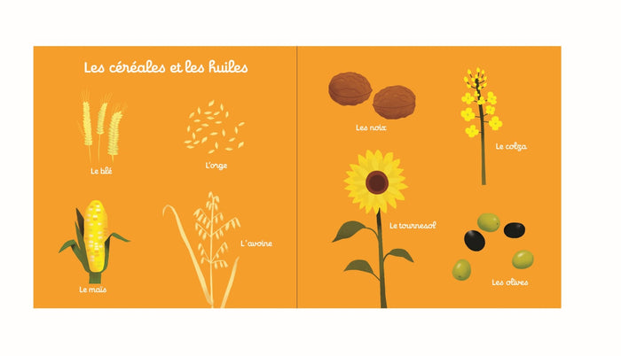 100 mots de la ferme