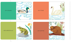 Imagier des animaux - Qui se cache derrière les flaps ?