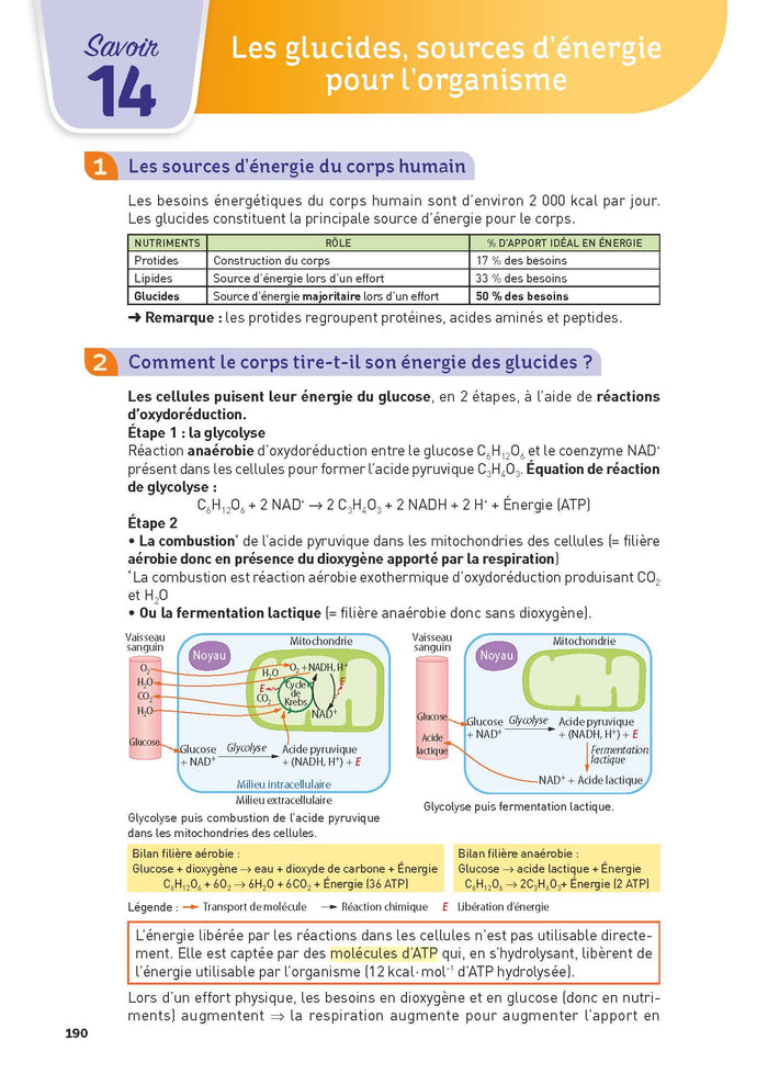 Toutes les matières - Première ST2S
