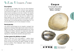 Le Petit guide de la pêche à pied