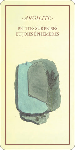 L'Oracle des minéraux