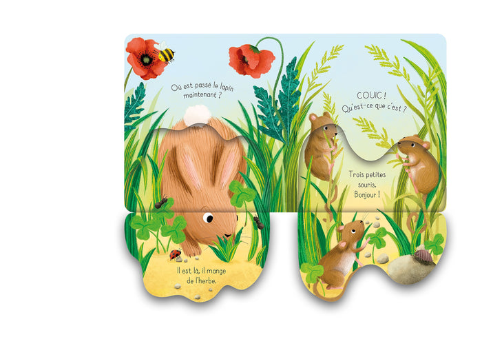 Le lapin - Mon petit livre à rabats