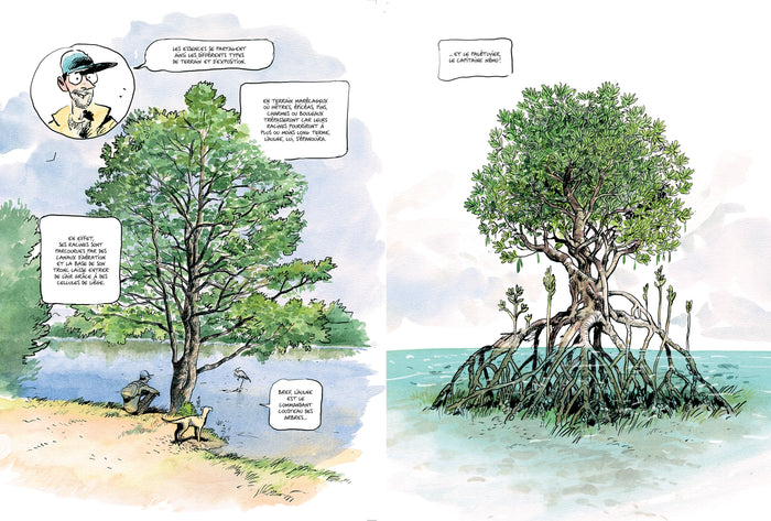 La vie secrète des arbres en BD