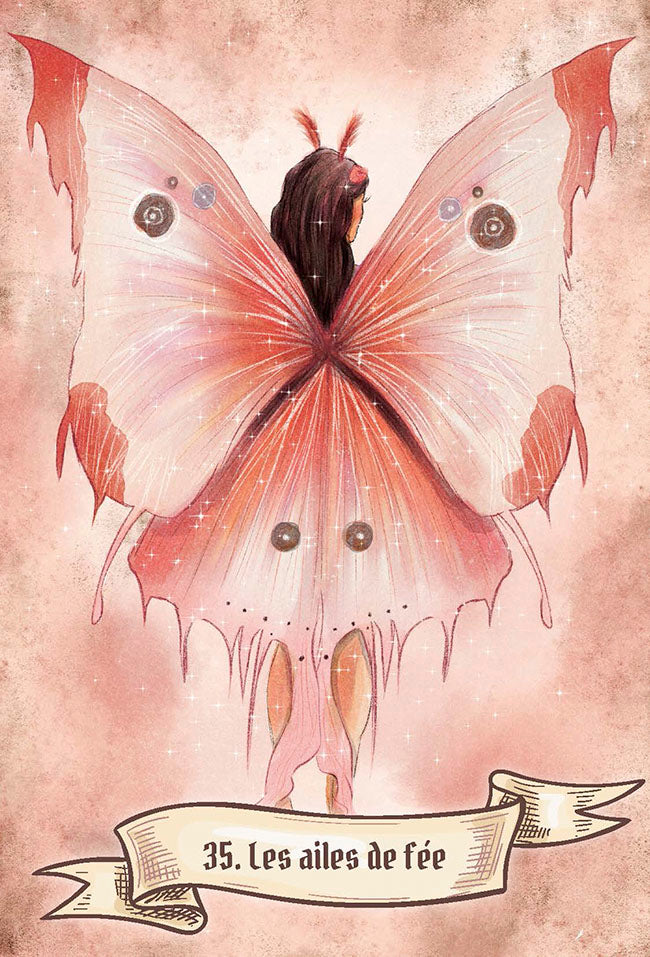 Coffret l'oracle des fées et des lutins