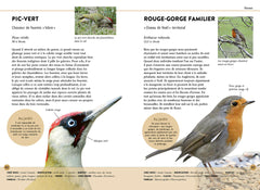 Reconnaître facilement les animaux du jardin