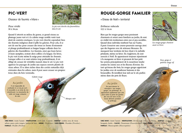 Reconnaître facilement les animaux du jardin