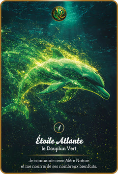 L'oracle des Maîtres Dauphins - Une invitatin à l'Eveil