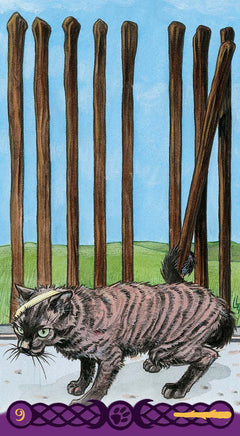 Coffret le tarot des chats païens