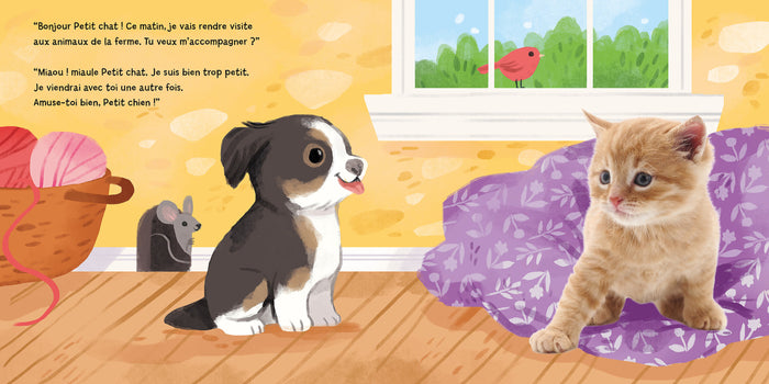 Petit chien visite la ferme