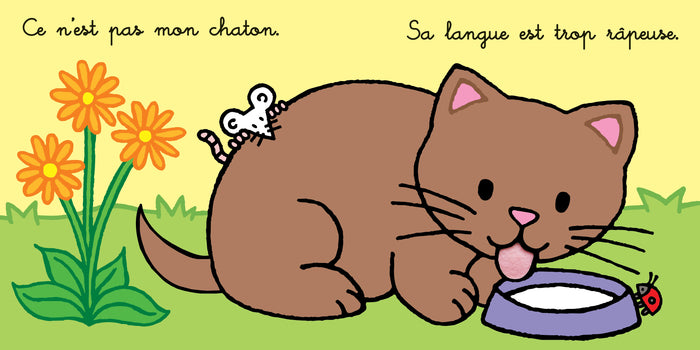 Où est mon chaton ? - Les tout-doux Usborne - Dès 6 mois